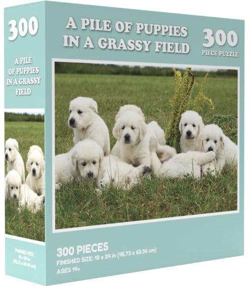 A Pile of Puppies in a Grassy Field